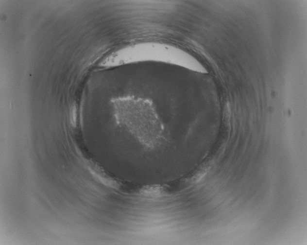 X0000077320076200611171753