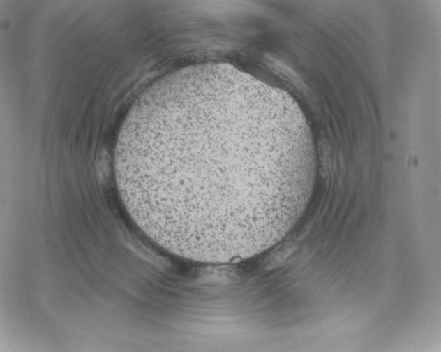 X0000077320077200611171753