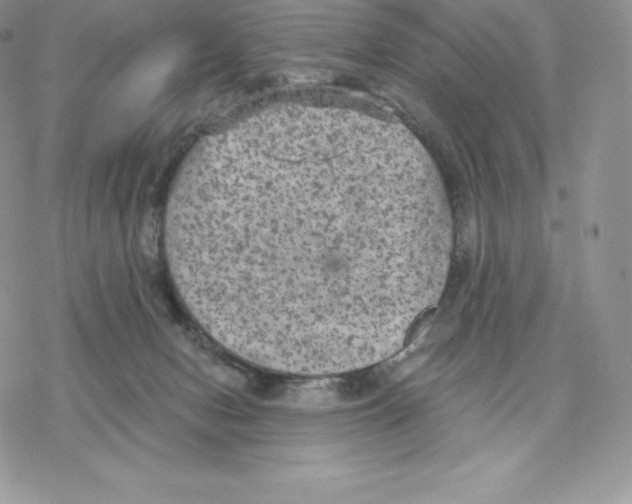 X0000077320078200611171753