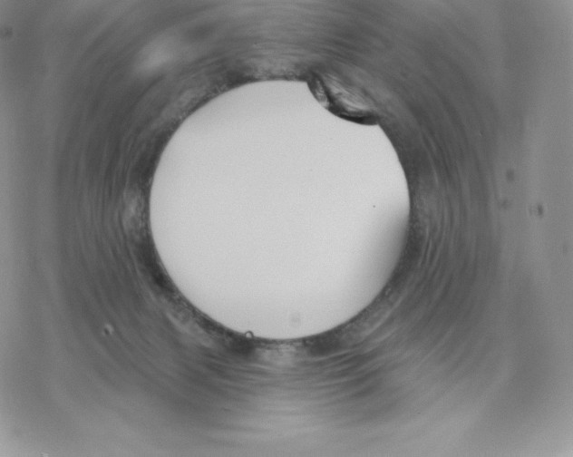 X0000077320079200611171753