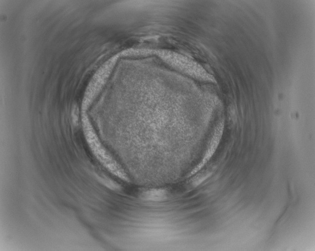 X0000077320081200611171753