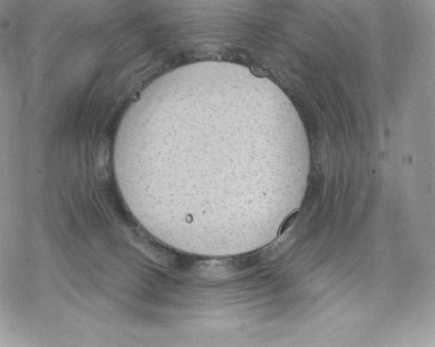 X0000077320082200611171753