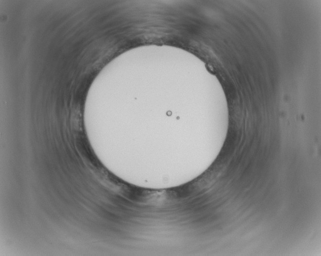 X0000077320083200611171753