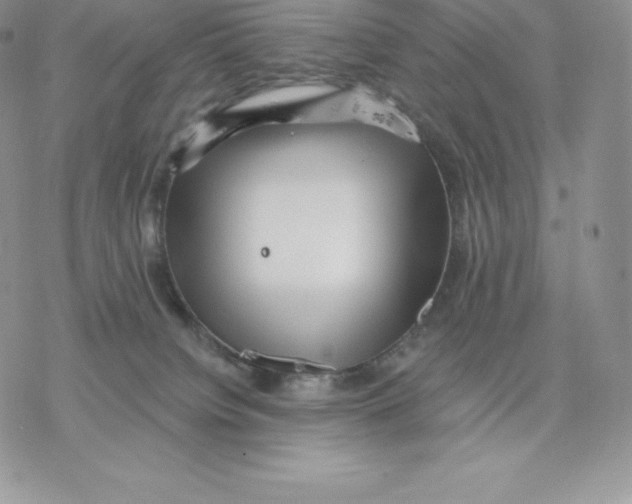 X0000077320084200611171753