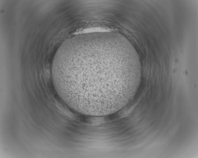 X0000077320085200611171753