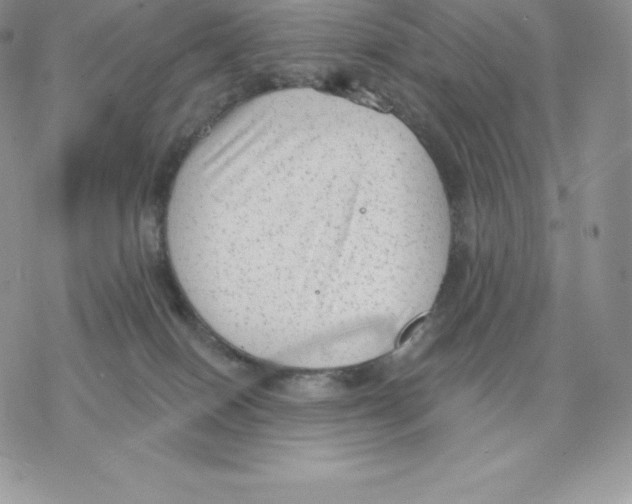 X0000077320086200611171753