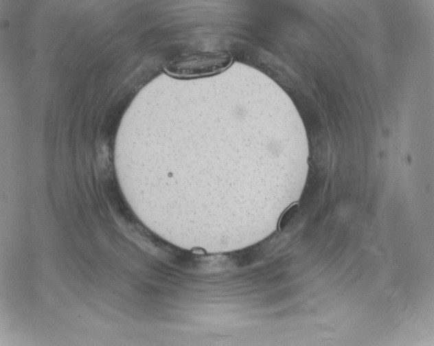 X0000077320087200611171753