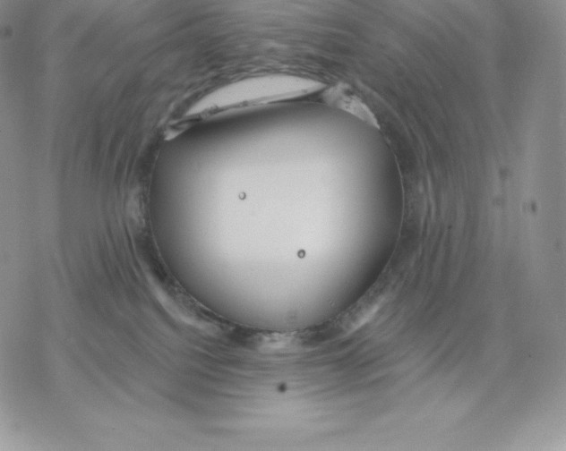 X0000077320088200611171753