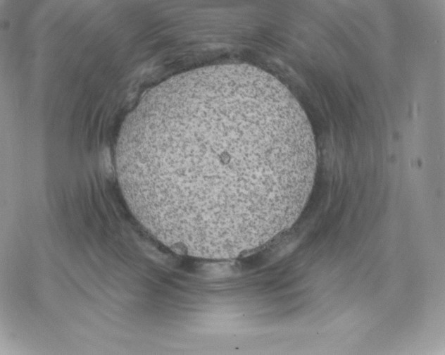 X0000077320089200611171753