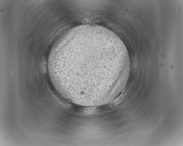 X0000077320090200611171753