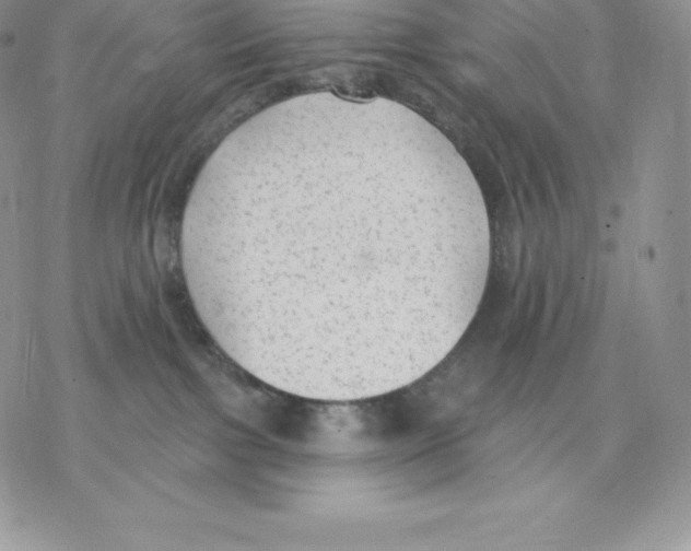 X0000077320091200611171753