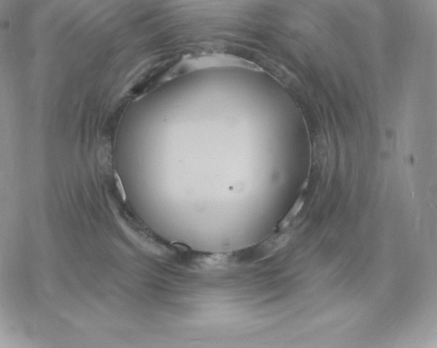 X0000077320092200611171753