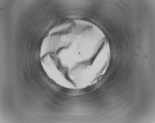 X0000077320093200611171753