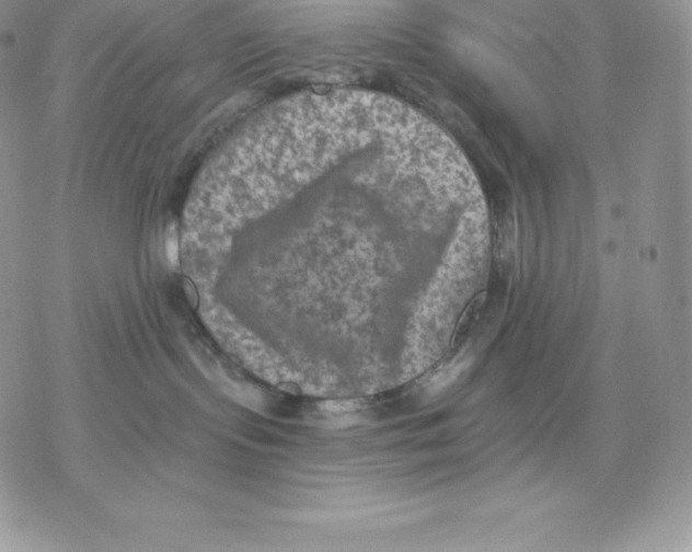 X0000077320095200611171753