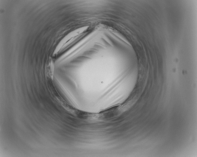 X0000077320096200611171753