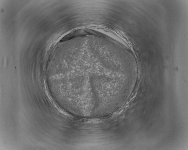 X0000077320097200611171752