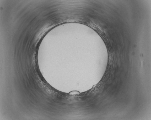 X0000077320098200611171752