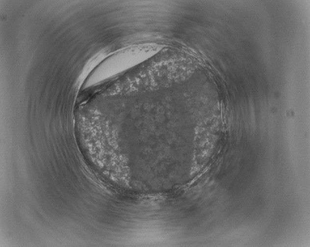 X0000077320099200611171752