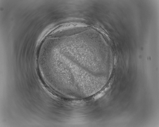 X0000077320101200611171752