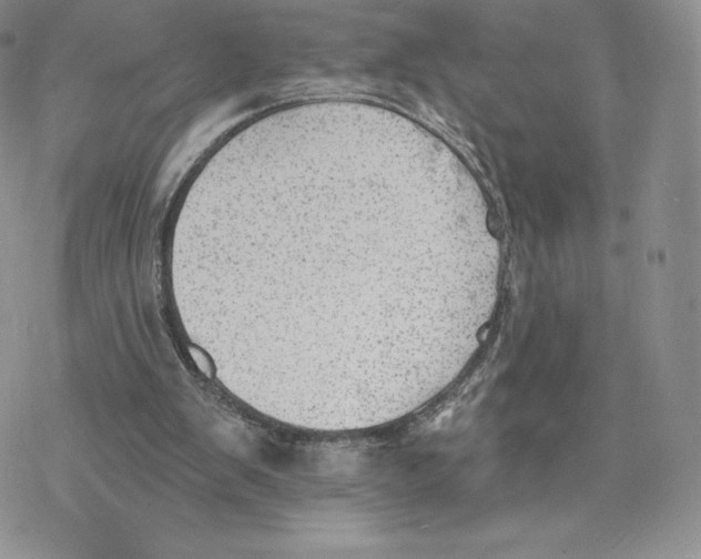 X0000077320103200611171752