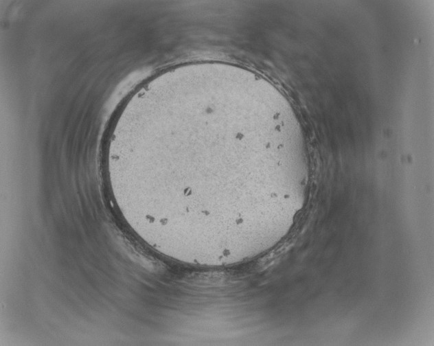 X0000077320104200611171752