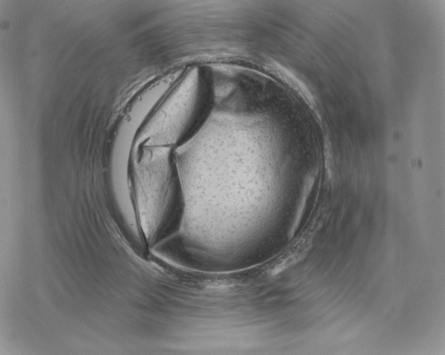 X0000077320105200611171752