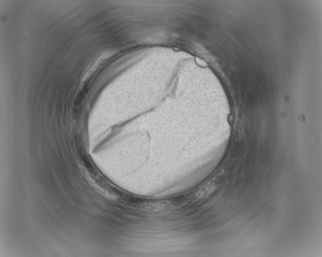 X0000077320106200611171752