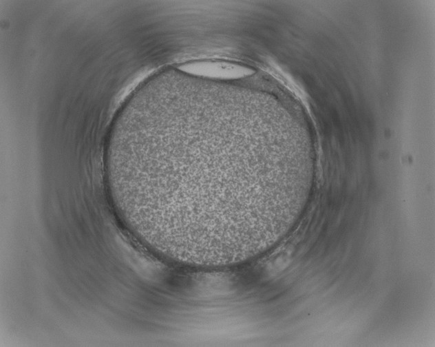 X0000077320107200611171752