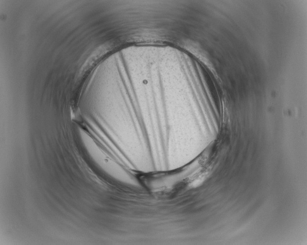 X0000077320109200611171752