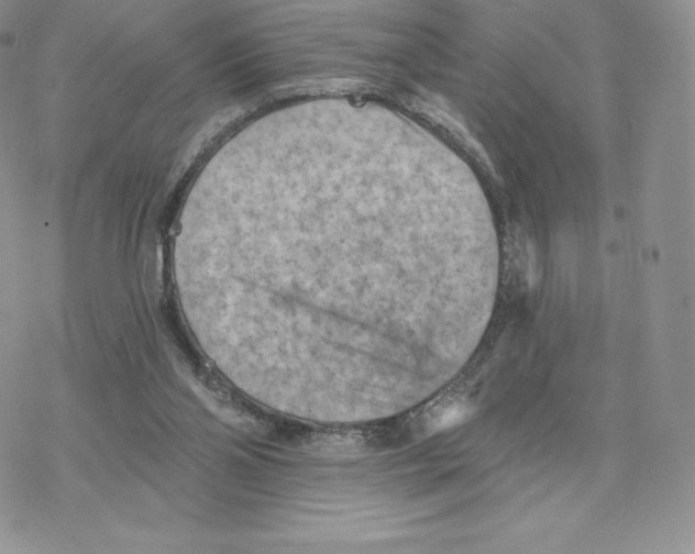 X0000077320110200611171752