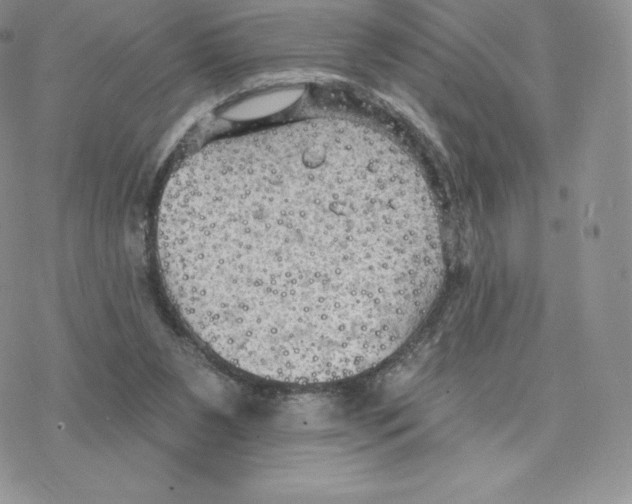 X0000077320111200611171752