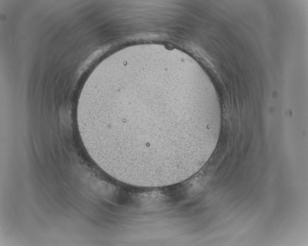 X0000077320112200611171752