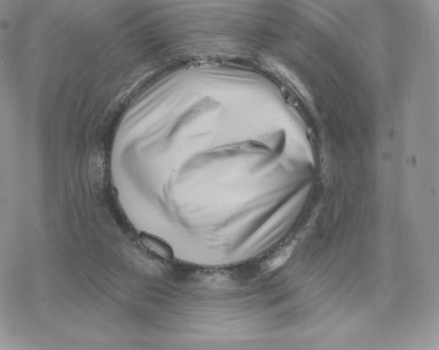 X0000077320113200611171752