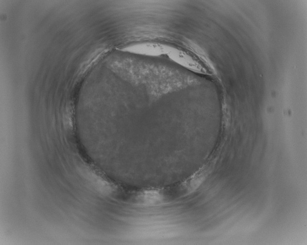 X0000077320114200611171752