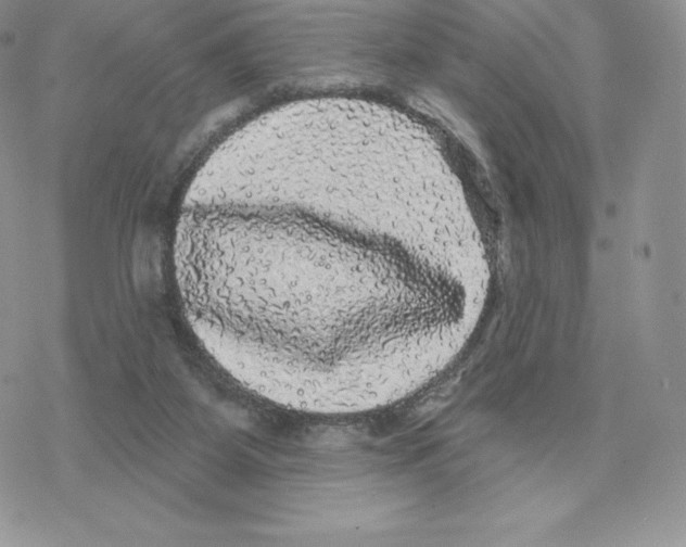 X0000077320115200611171752