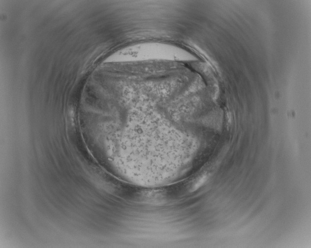 X0000077320117200611171752