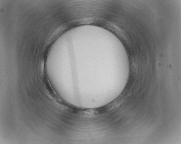 X0000077320118200611171752