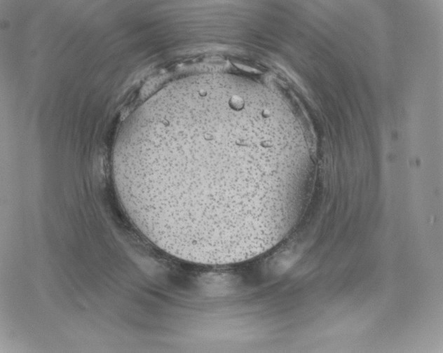 X0000077320119200611171752