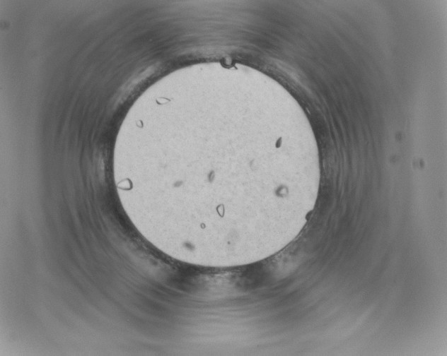 X0000077320120200611171752