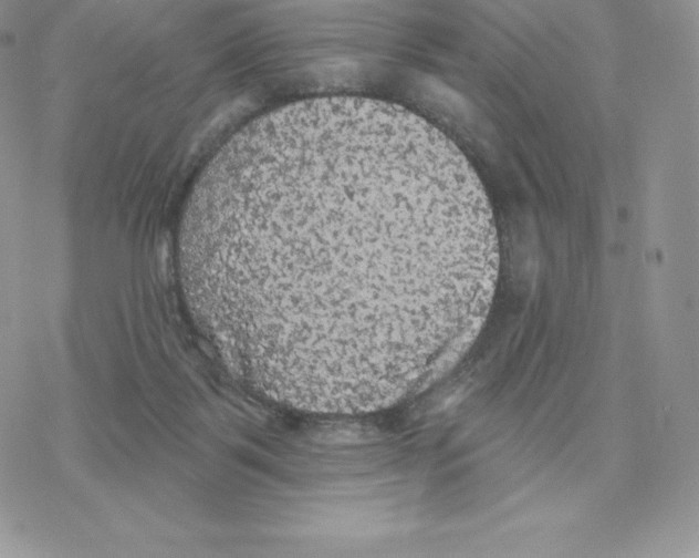 X0000077320123200611171752