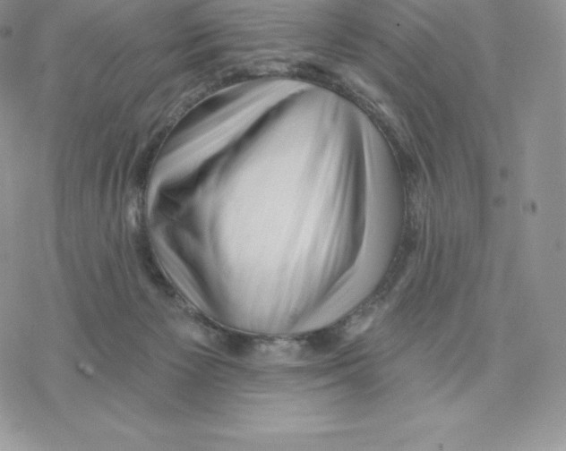 X0000077320125200611171752