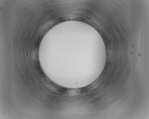 X0000077320126200611171752