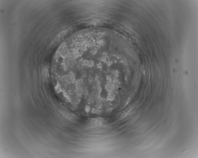 X0000077320127200611171752