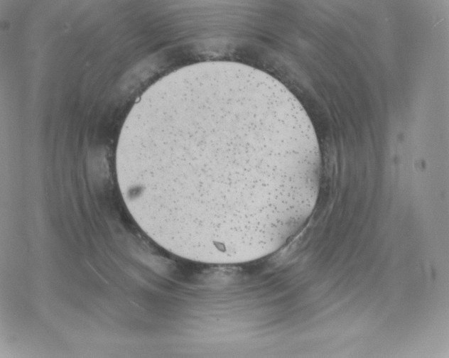 X0000077320128200611171752