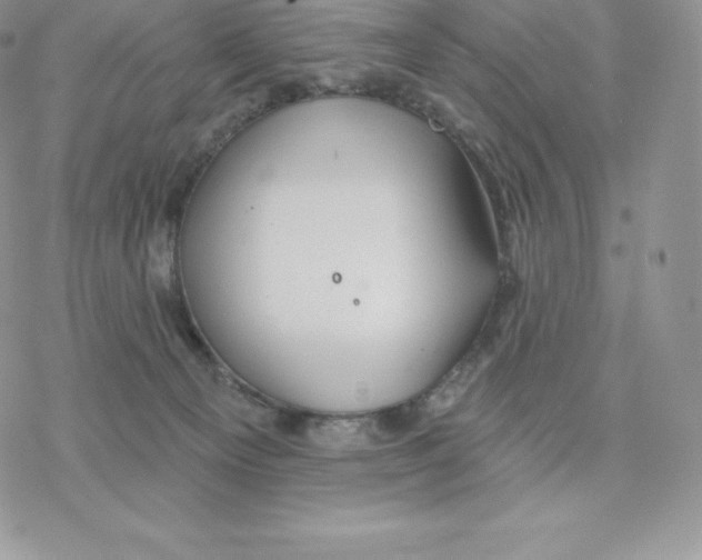 X0000077320129200611171752