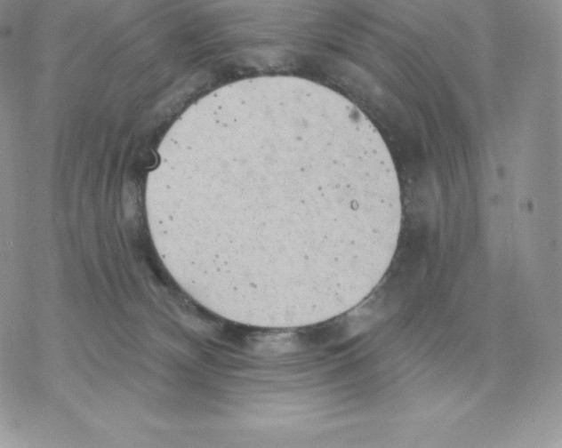 X0000077320132200611171752