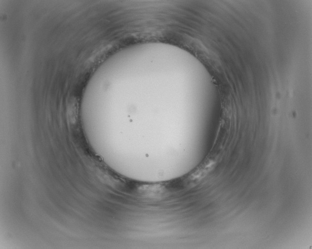 X0000077320133200611171752