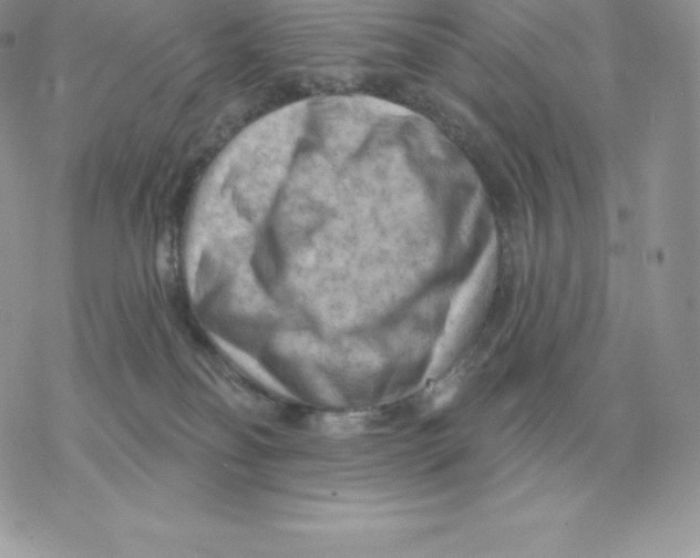 X0000077320134200611171752