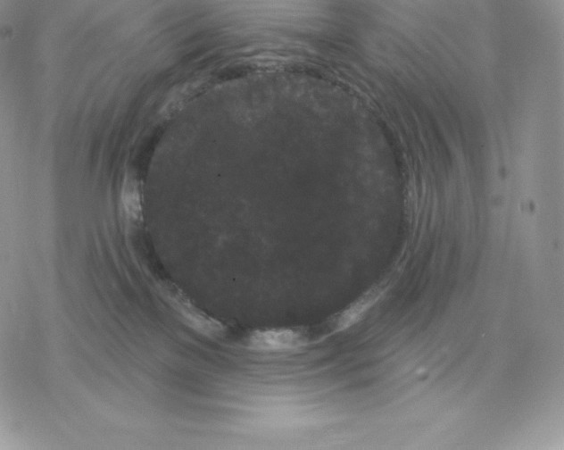 X0000077320137200611171752