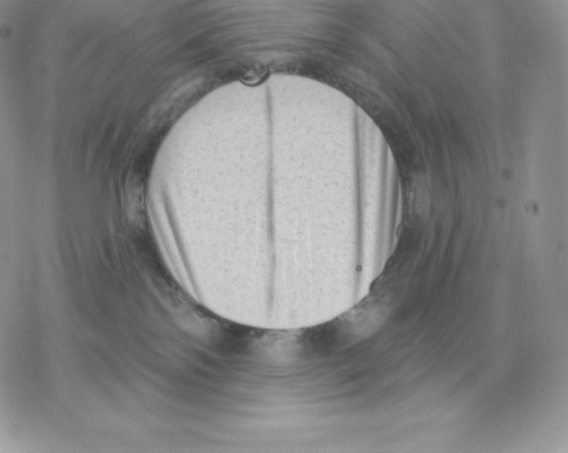 X0000077320138200611171752